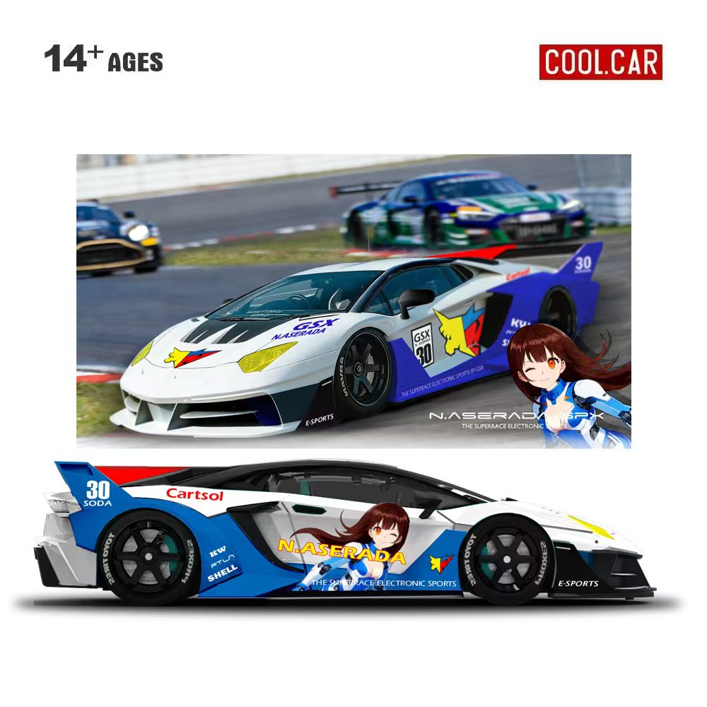 Cool Car 1:64 GTEVO Superrace  - Car Accessories Company review and price